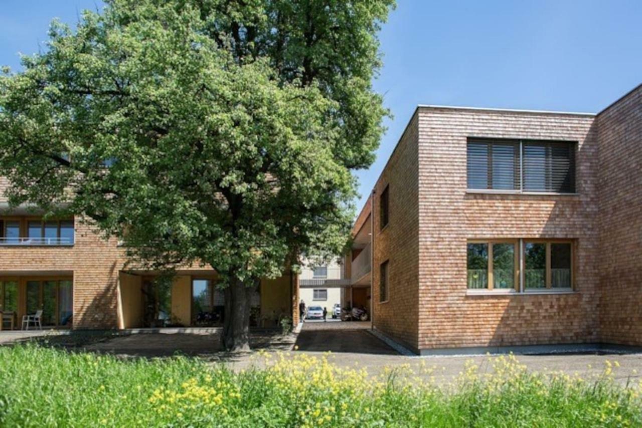 Gartenwohnung In Praemierter Wohnanlage Klaus  Eksteriør billede